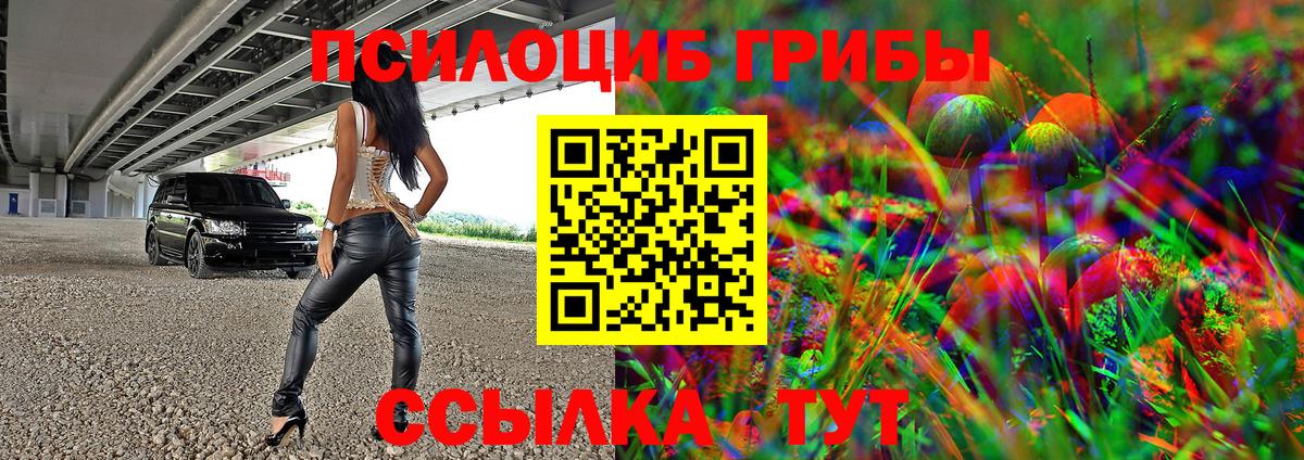 Черняховск  Галлюциногенные грибы Psilocybe  Вход с VPN 