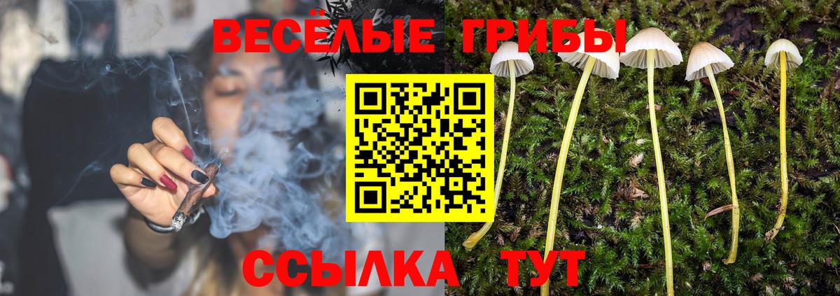 Галлюциногенные грибы MAGIC MUSHROOMS Черняховск